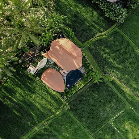 Arapan Ubud Eco Villa Ngoại thất bức ảnh