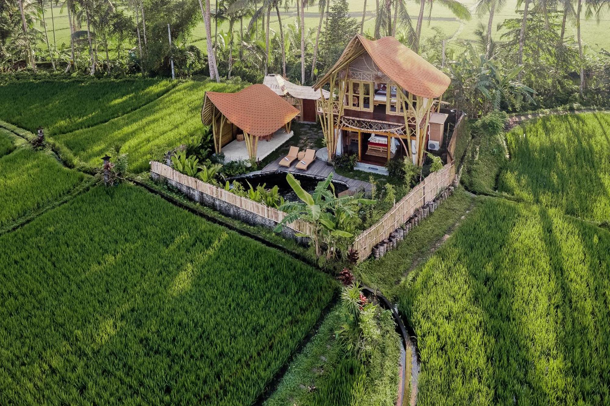 Arapan Ubud Eco Villa Ngoại thất bức ảnh