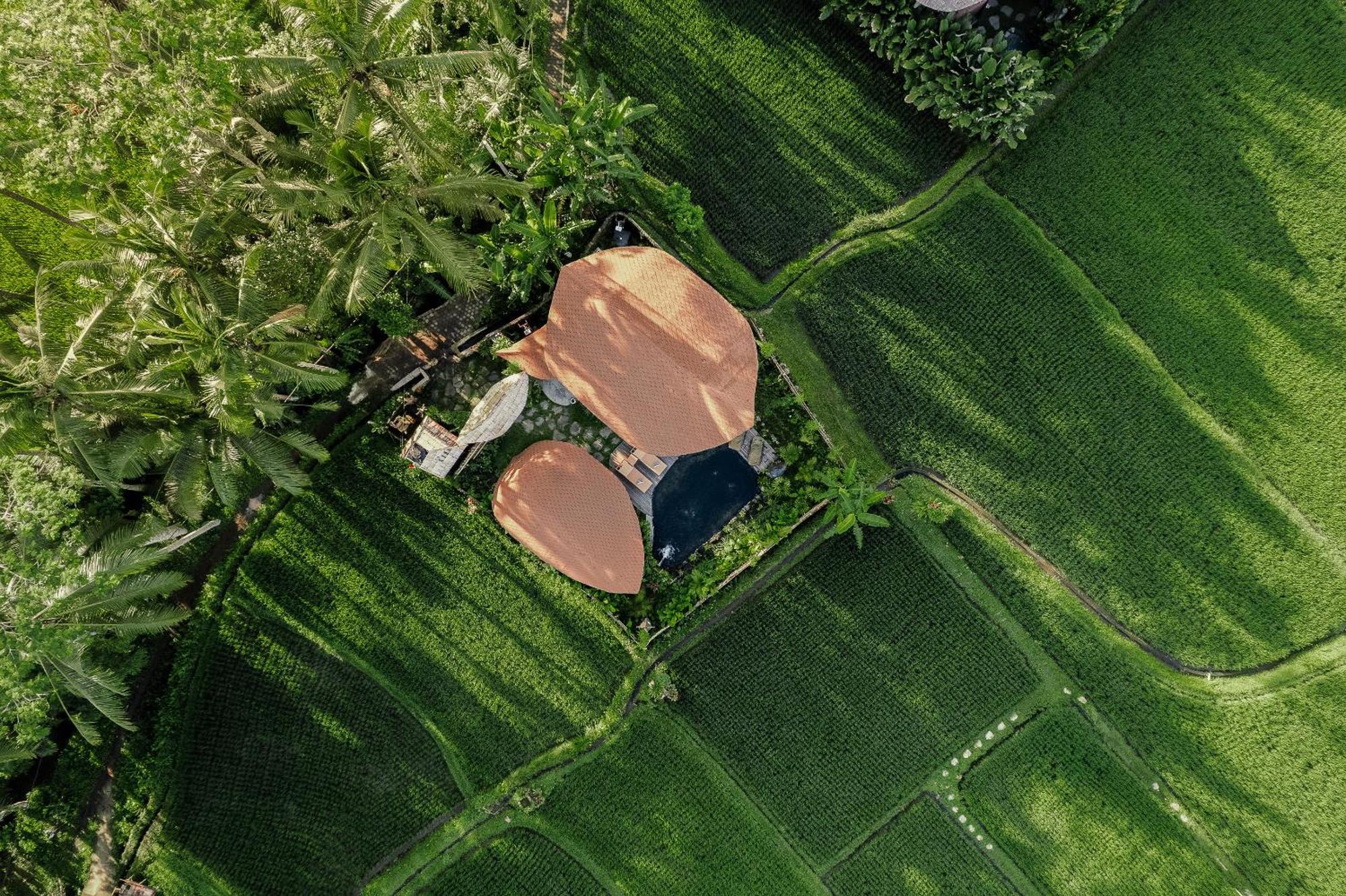 Arapan Ubud Eco Villa Ngoại thất bức ảnh